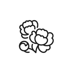 Elegant outline illustration of two blooming peony flowers with a stem and bud