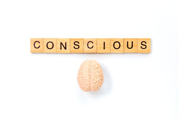 Conscious Mind Concept with Brain and Wooden Letter Tiles