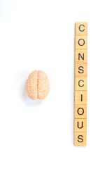 Conscious Mind Concept with Brain and Wooden Letter Tiles