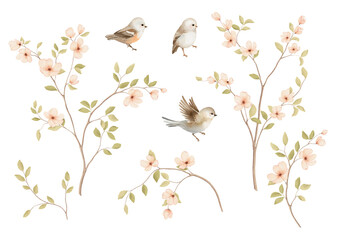 Set with cute abstract birds and blossom spring branches, delicate watercolor illustration for your design greeting or invitation cards, covers or background. Hand-drawn isolated print.
