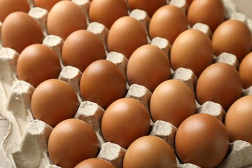 Many raw chicken eggs in carton, closeup