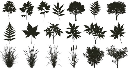 Fototapeta premium Versatile Botanical Silhouette Collection Diverse Trees, Lush Foliage, and Elegant Grasses for Creative Designs