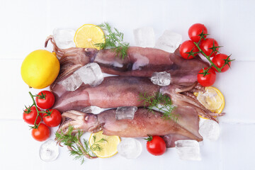 Raw squids, ice cubes, tomatoes, lemon slices and dill on white tiled table, flat lay