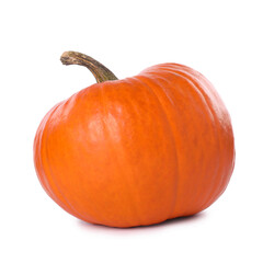One whole ripe pumpkin isolated on white