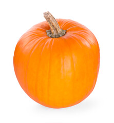 One whole ripe pumpkin isolated on white