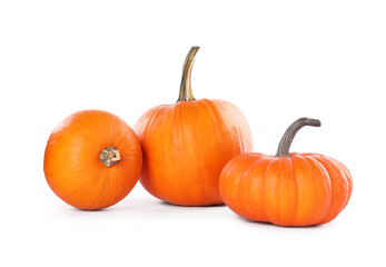 Different whole ripe pumpkins isolated on white