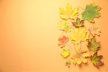 Fototapeta premium Beautiful autumn leaves on pale orange background, flat lay. Space for text