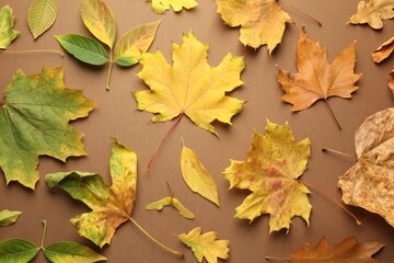 Beautiful autumn leaves on brown background, flat lay