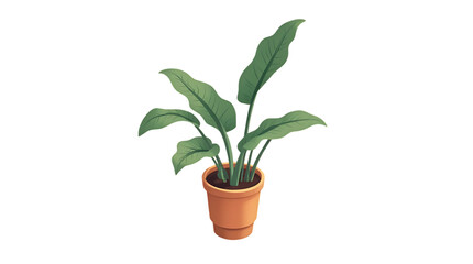 Obraz premium Healthy Green Houseplant with Large Leaves in Small Terracotta Pot for Indoor Decoration