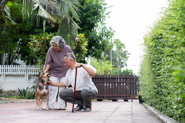 Two older adults enjoy a peaceful walk with their dog in a lush, suburban outdoor setting. The scene reflects active aging, pet companionship, emotional bonding, and a mindful lifestyle surrounded
