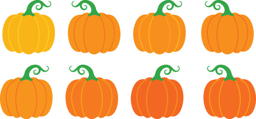 Eight orange and yellow pumpkins with green curly stems on white background vector