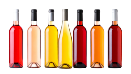 Array of colorful wine bottles against a black background. Different hues and styles