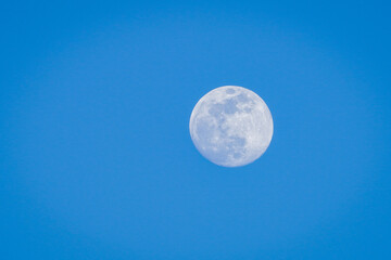 Full Moon Rising During Blue Hour