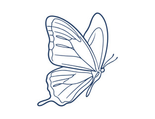 Detailed Butterfly Outline Vector Illustration Elegant Minimalist Nature Logo Design

