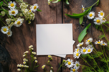 A composition with a white square leaf and daisies among meadow flowers on a dark wooden surface