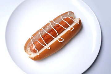 Hot dog with mustard on white background.