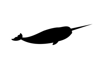 Narwhal silhouette vector flat design on white background. Narwhal icon. © Ximora