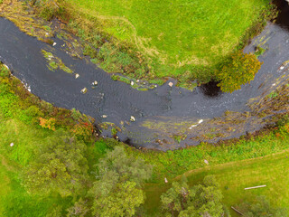Drone perspective of a small river meandering through a vibrant green wetland with moss and grass. Aerial nature photography showing water flowing through a meadow ecosystem.
