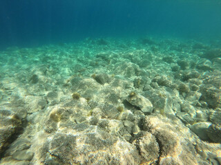 Seabed in Noli, Liguria - Italy