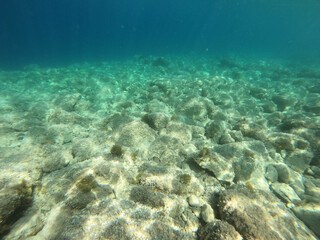 Seabed in Noli, Liguria - Italy