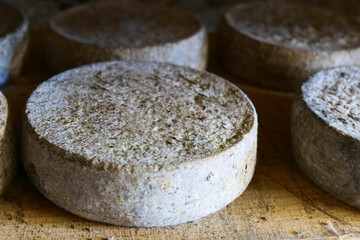 Artisanal cheeses to mature, Piedmont - Italy