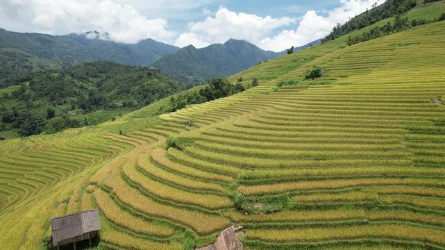 ruộng bậc thang ở sapa việt nam