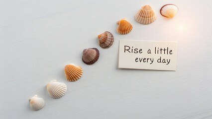 Seashells arranged diagonally on a white surface with a quote