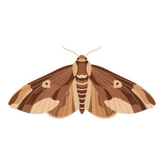 Elegant Brown Moth Vector Illustration on White Background