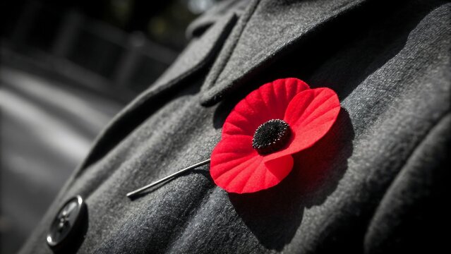 Red remembrance poppy pinned to a textured grey coat lapel