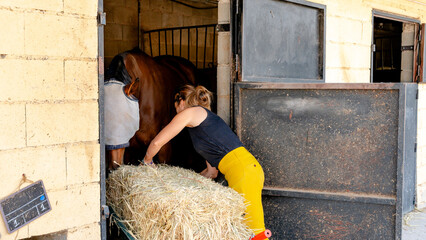 Woman taking care of a horse in stable environment
