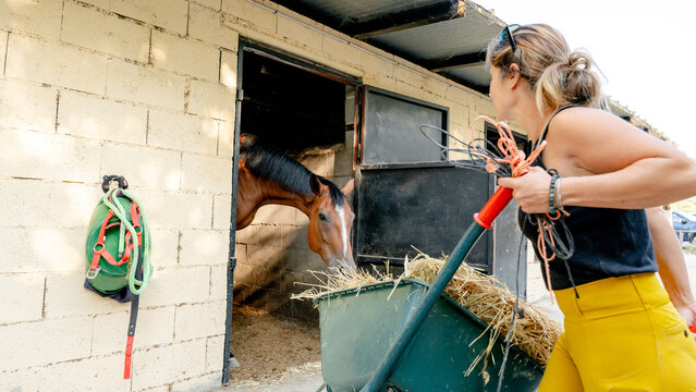 Woman feeding horse in stable with care and attention