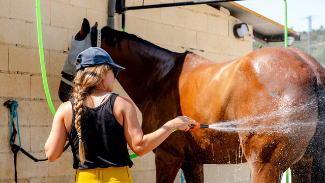 Caring for horses in stable environment