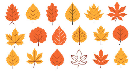Obraz premium Assorted Autumn Leaves Illustration in Orange, Yellow, and Brown