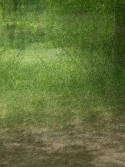 green grass background