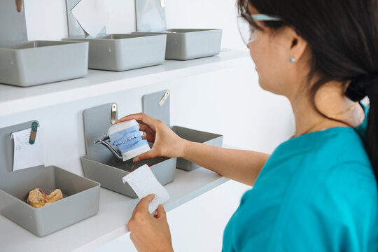 Female technician organizing dental prosthesis