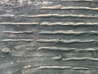 Wood boards with subtle wave like swelling formed by rain or moisture over time. Aged surface with natural grain distortion and texture depth, creating a rustic and organic appearance.