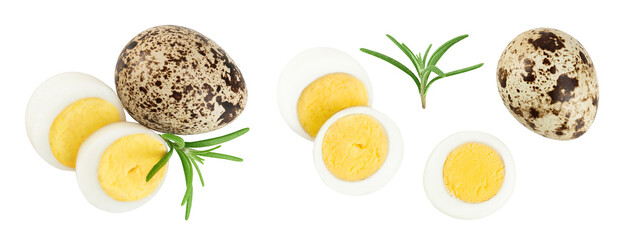 boiled quail egg isolated on white background with full depth of field. Top view. Flat lay