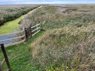 Beautiful landscape of nature reserve marshland with grasses fencing and algae colour water rivelet streams conservation coast area for wildlife in Cley Norfolk uk with grey Autumn sky walk to beach