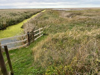 Beautiful landscape of nature reserve marshland with grasses fencing and algae colour water rivelet streams conservation coast area for wildlife in Cley Norfolk uk with grey Autumn sky walk to beach