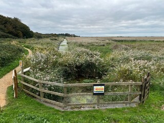 Beautiful landscape of nature reserve marshland with grasses fencing and algae colour water rivelet streams conservation coast area for wildlife in Cley Norfolk uk with grey Autumn sky walk to beach