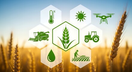 Smart farming concept with wheat field and modern technology icons
