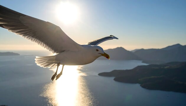 Seagull soaring over tranquil bay - Powered by Adobe