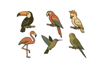 Obraz premium Colorful tropical birds illustration featuring toucan, parrot, cockatoo, flamingo, hummingbird, and parakeet.Colorful icons set illustrated