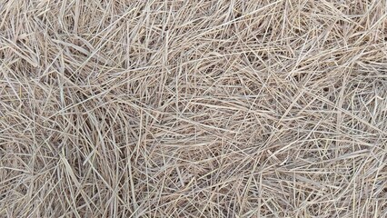 close up of rope