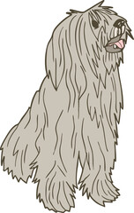 Pyrenean Shepherd Dog – long-haired mountain dog vector illustration