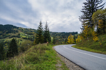 Scenic countryside road surrounded by green and golden autumn trees under a bright blue sky. Peaceful mountain landscape with morning sunlight creating a calm and natural atmosphere.