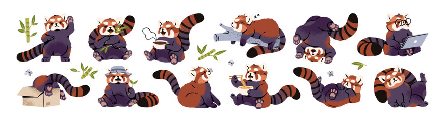 Obraz premium Set of cute red panda. Funny little Asian bear with striped tail is greeting with Hello, eating bamboo and noodles, sleeping and having a rest. Flat isolated vector illustrations on white background.