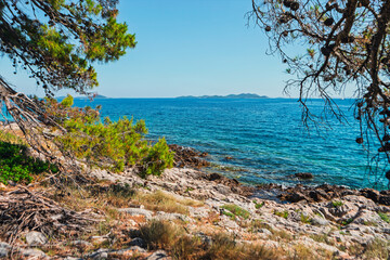 Tranquil coastal scene reveals turquoise waters meeting rocky shores under a clear sky. Sparse pine trees and dry grass frame the view, with distant islands dotting the horizon