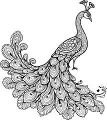Ornate Peacock Silhouette Vector Featuring Intricate Feather Patterns, Raised Leg Pose, and Decorative Crest in Line Art Style