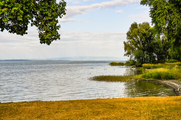 Güttingen, Bodensee, See, Seeufer, Uferweg, Ufer, Wasservögel, Schilf, Naturschutz, Wassersport, Seerundfahrt, Sommer, Ostschweiz, Thurgau, Schweiz